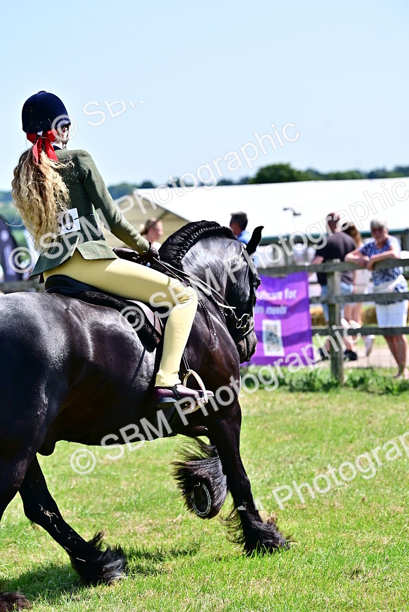 SBM_14003 - Class 95-97 - BSPS LHS Performance Ponies