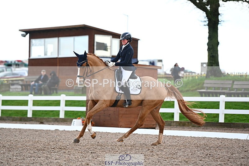 240218A-104340-06197 - 272-Beth.Bainbridge-Newton.Dreamcatcher