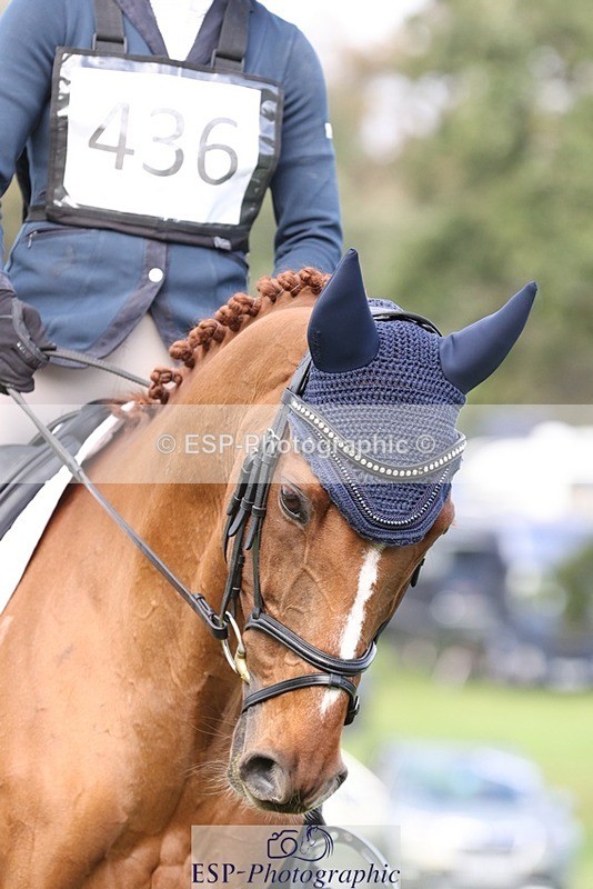 231019-160106-05123 - 436-MASSACHUSETTS-Georgia.Henderson-DR