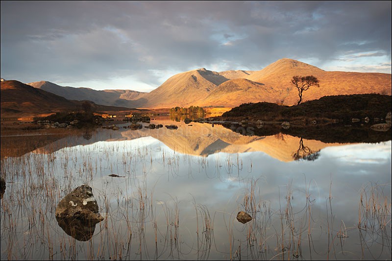 Morning Over Rannoch Moor - Photographs of Scotland