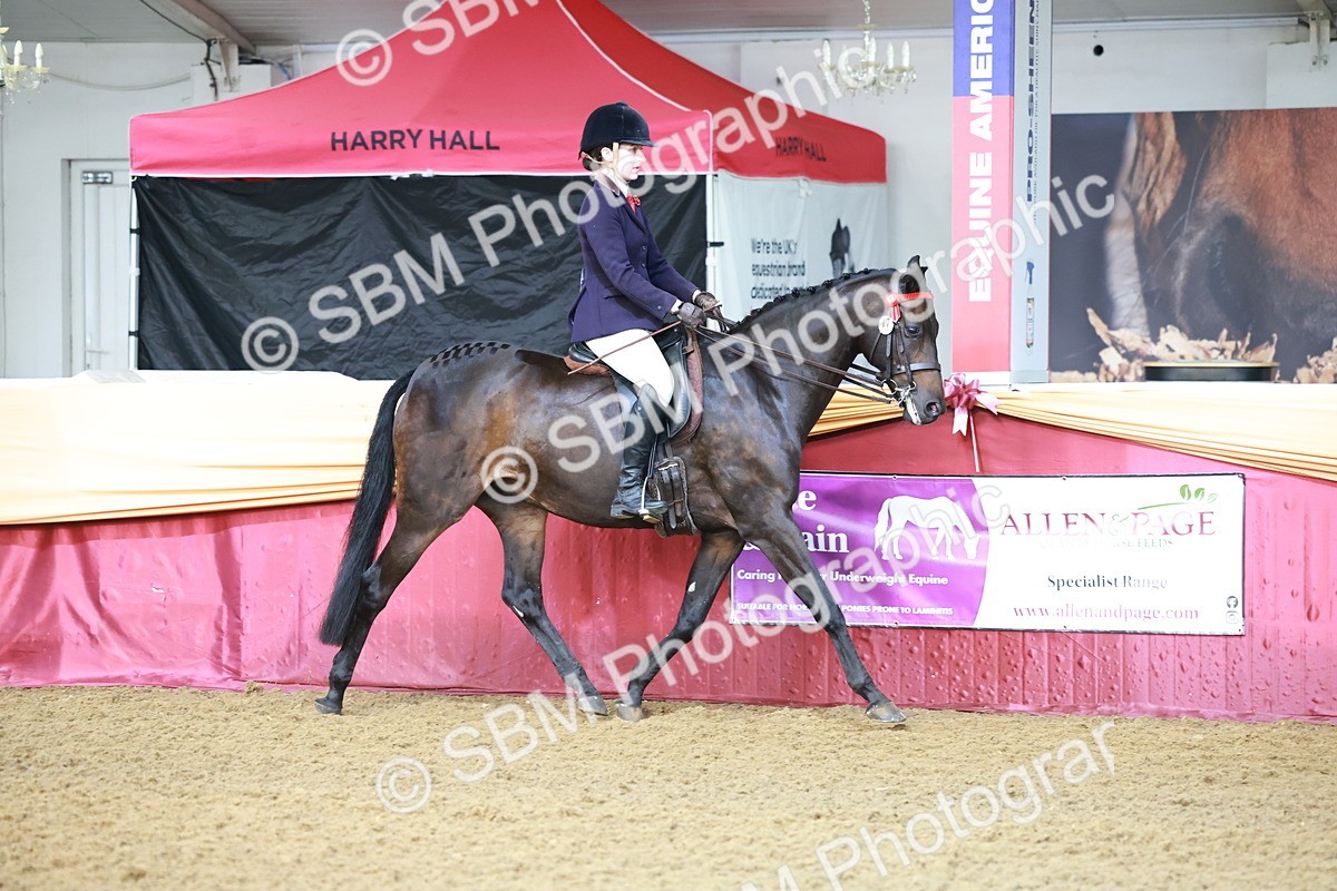 SBM_11806 - Class 102 - Equitation (Best Rider) Adult