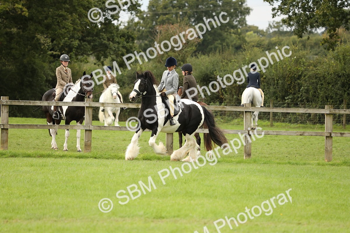 SBM_71665 - S41 - Ridden Equitation (Best Rider)