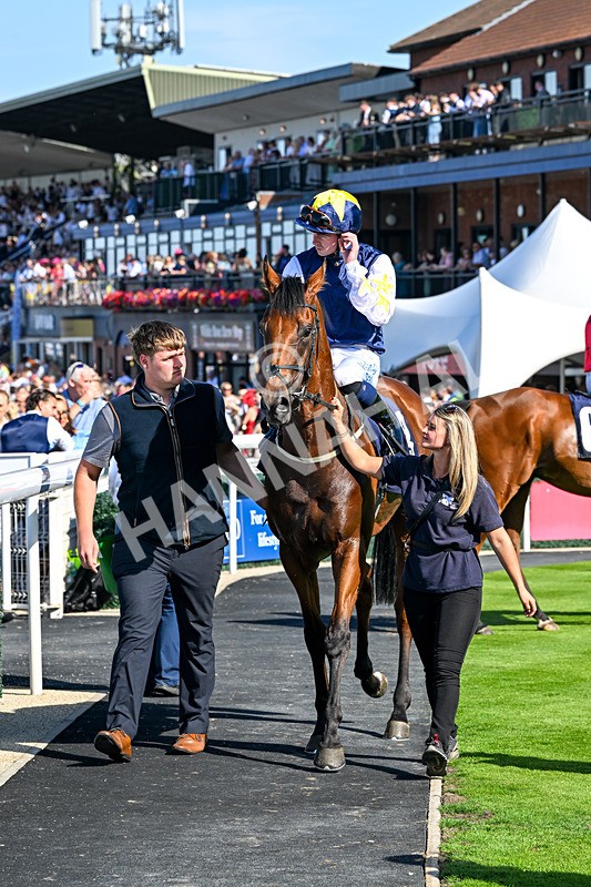 120826-Race 5-Ciao Capo-6998 - Race 5 16.15pm Cayenne Electric At Porsche Centre Hull Handicap