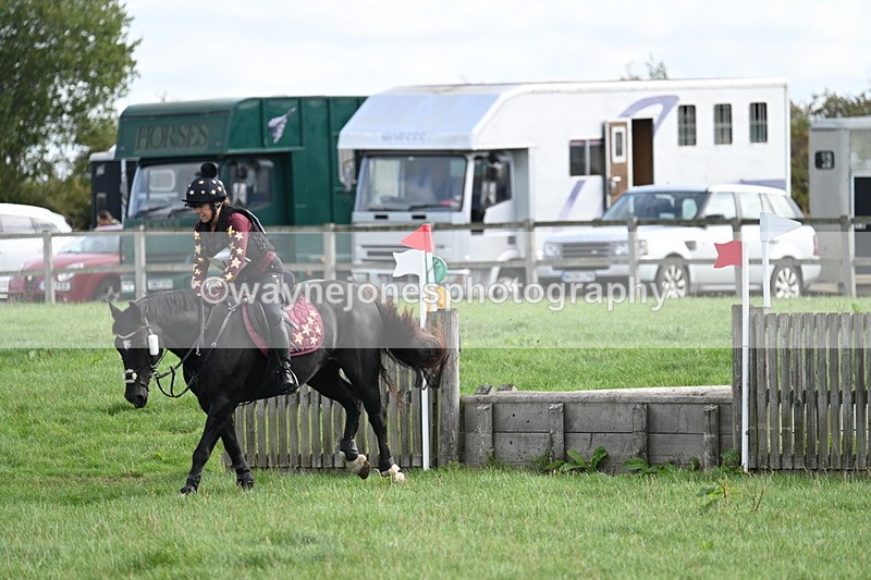 WJ7_8330 - 60cm Pairs