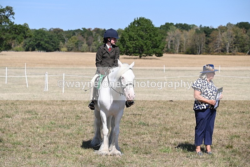 WJ6_9078 - Class 38 Ridden Riding Horse/Pony