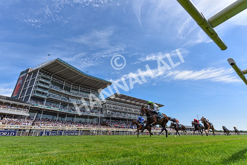 110726-Race 1-Big Cigar-2602 - Race 1 14.02pm John Smith's Nursery Handicap