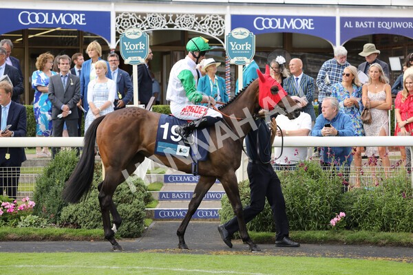 yr19082022r6-11 - Race 6 4.45 pm British Stallion Studs EBF Convivial Maiden Stakes