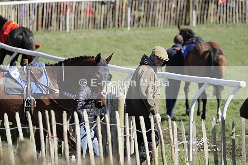 PtP 100423 569 - Old Berkshire Point-to-Point Lockinge 10/04/23