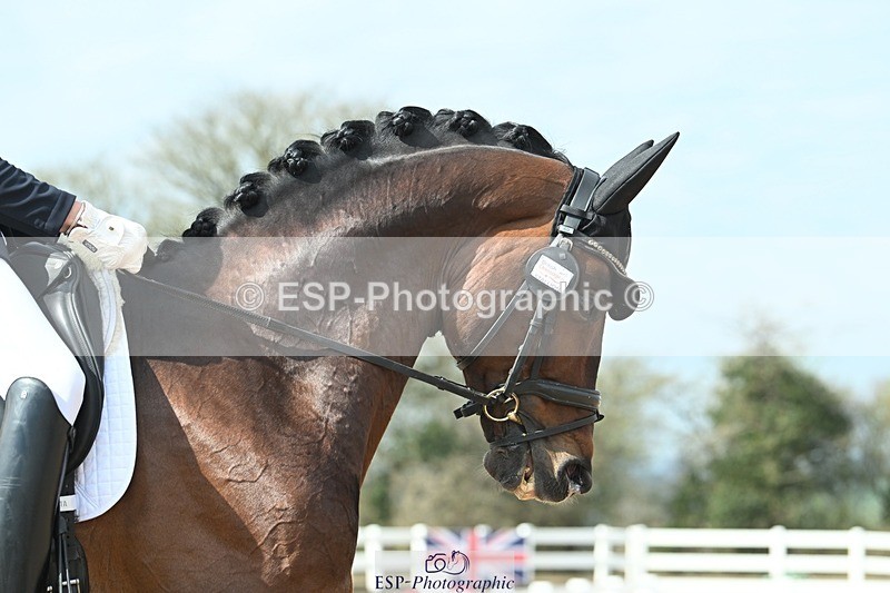 250403-104056-01550 - 048-Angus.Corrie-Deane-Maigret.VD.Watermolen