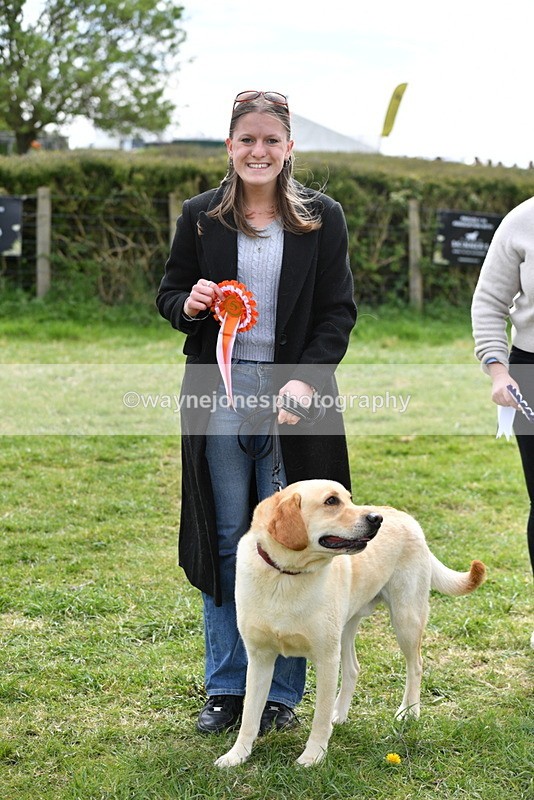 WJ5_9890 - Class 3 Most Handsome Dog