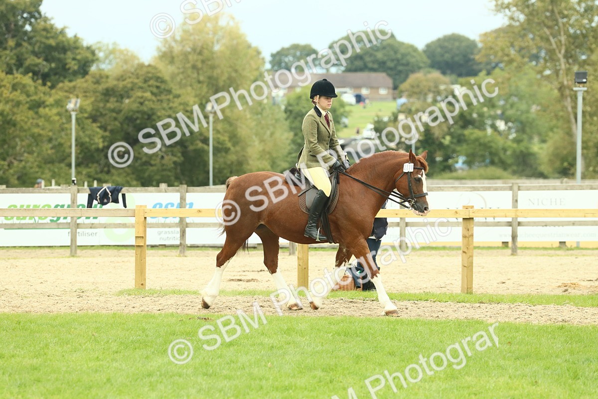 SBM_72111 - S60 - Mountain & Moorland Ridden Large Breeds