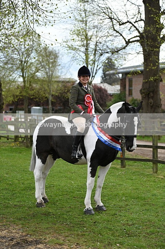 WJ7_4836 - Afternoon Champs