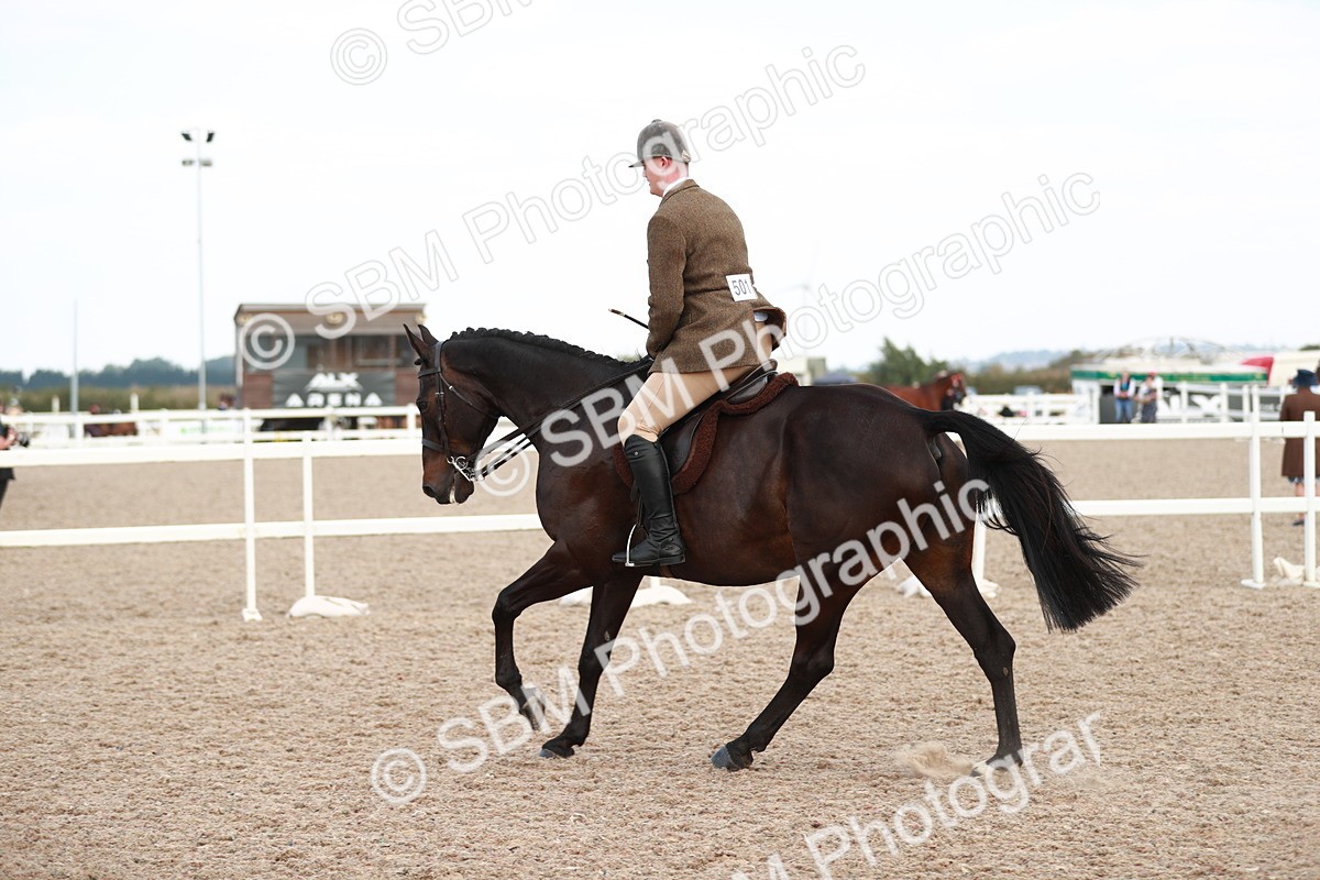 SBM_15506 - Class 213 Ridden Hunter -Large