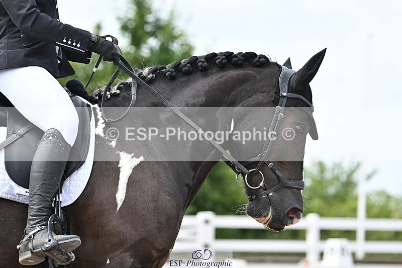 240621A-144002-03989 - Cls 11 BD Medium 73