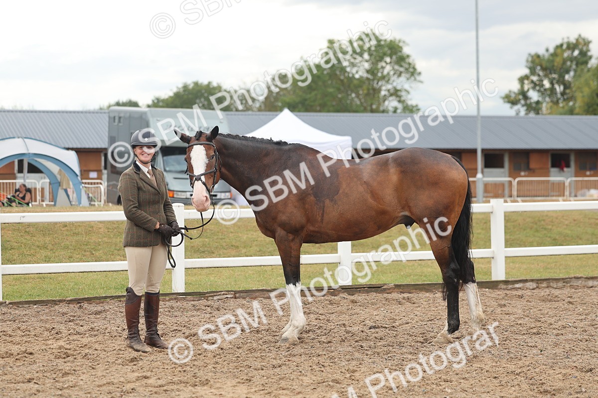 SBM_07812 - Class 27 - IH Competition Horse/Pony