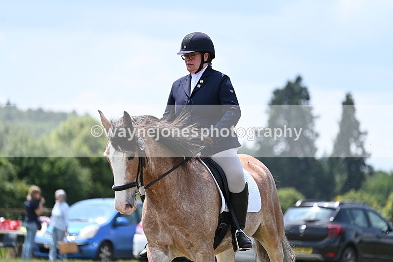 WJ7_8212 - Time 13:35 to 13:40