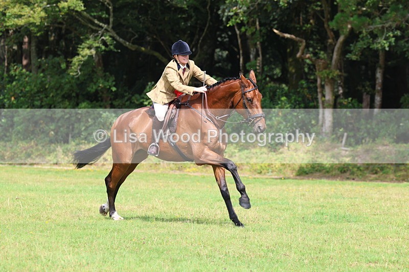 3E7A6137 - Working Hunter Championship