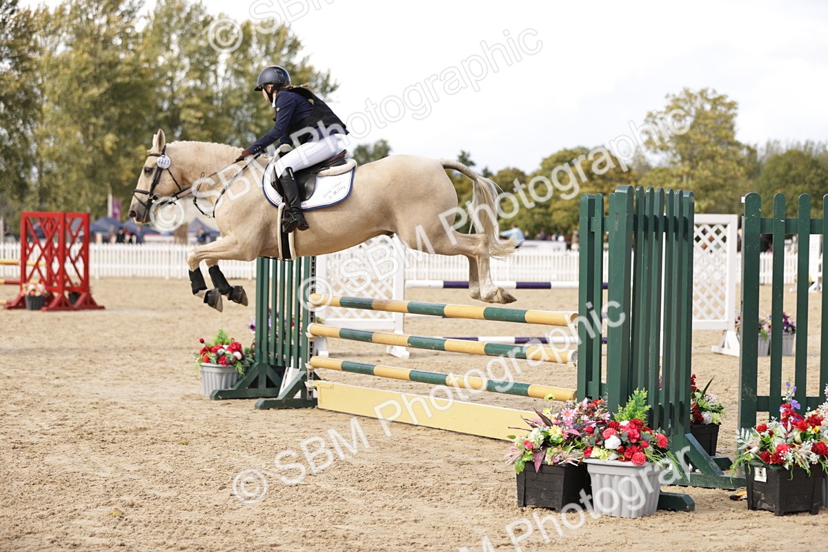 SBM_28444 - J46 - Accumulator 80 90cm