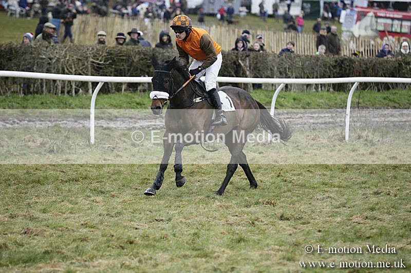 PtP 020418 -419 - Old Berks Point-to-Point Races Easter Monday 02/04/18