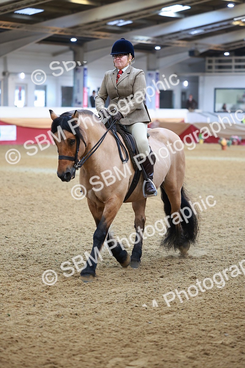 SBM_09473 - Class 102 - HOYS Veteran Qualifier - Ridden Veteran