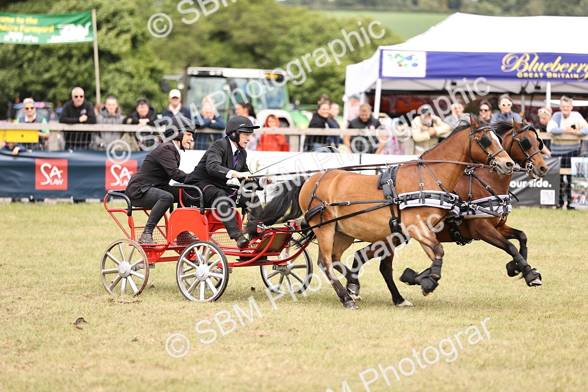 SBM_16097 - Class 91 - Scurry  exceeding 122cms