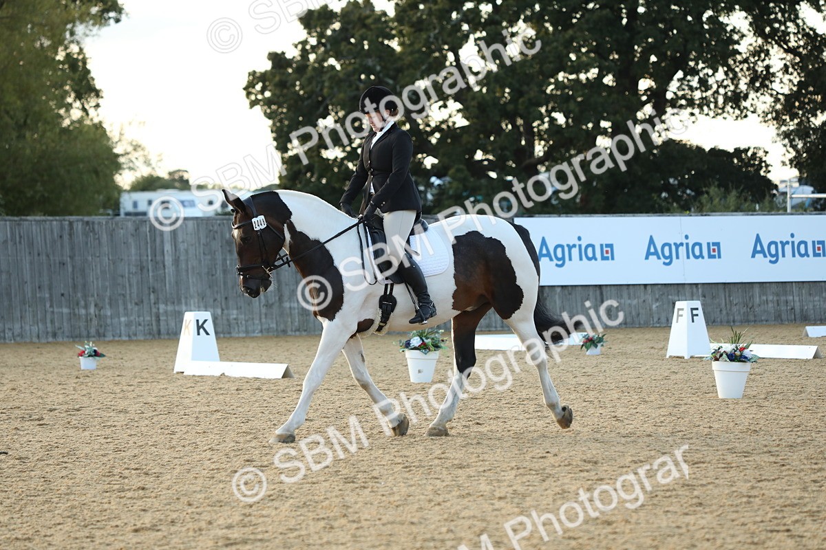 SBM_30613 - D20 - Grand Tour Championship - Elementary 44