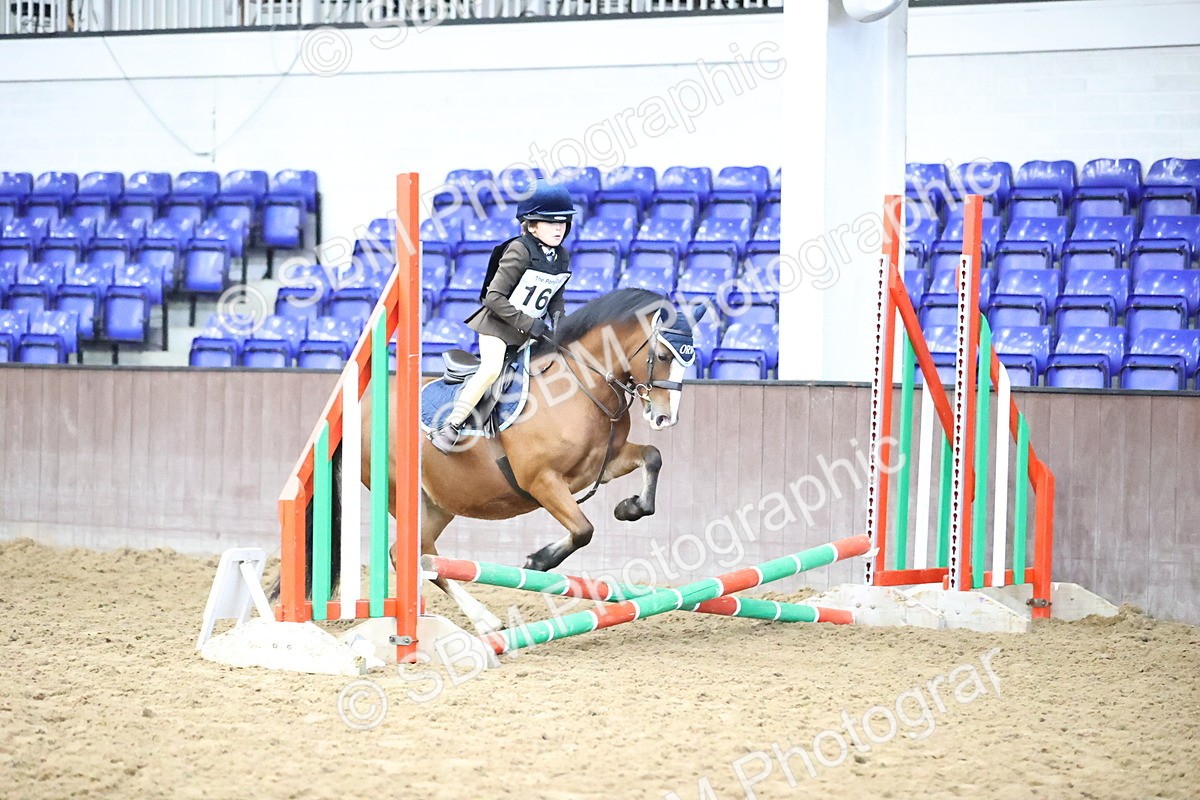 SBM_000265 - Class 2 - The Rug Lady 40cm Area 12 Championship Qualifier