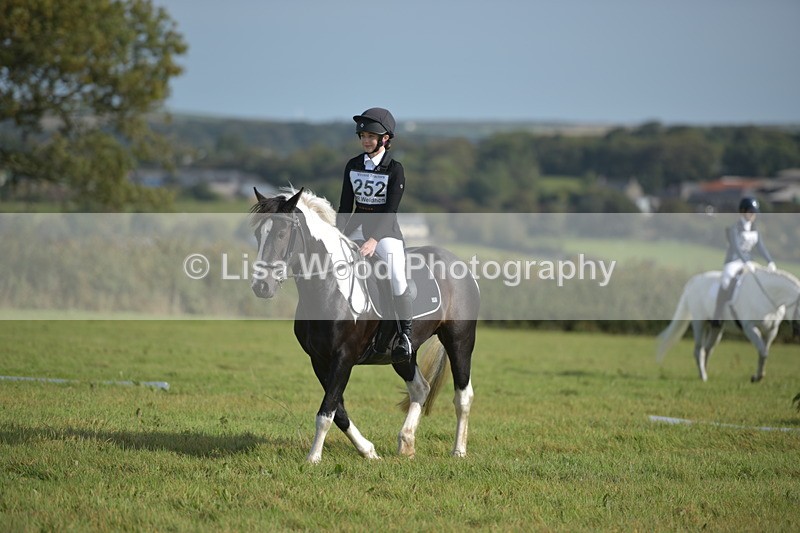 RAY_7644 - Class 2B: Trekenning Open: Dressage