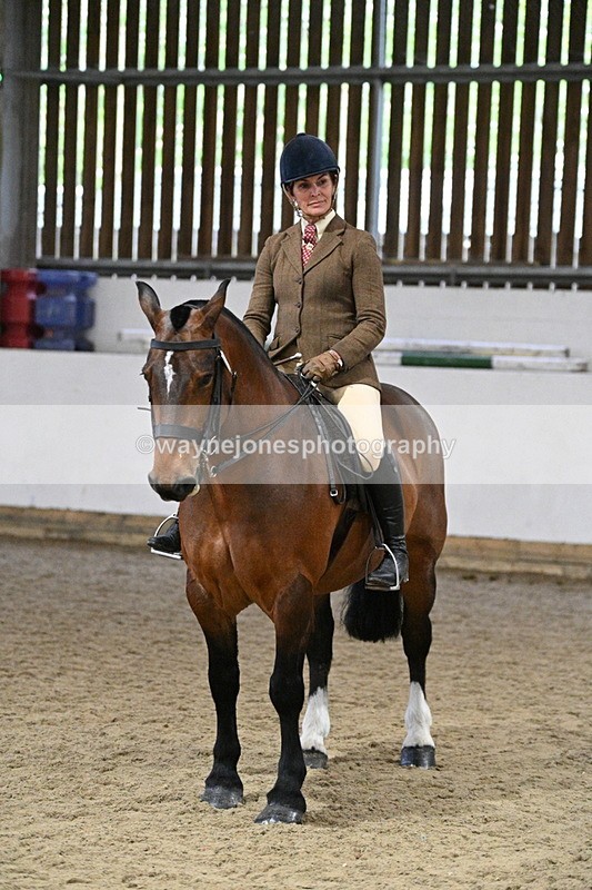 WJ7_3922 - Class 17 Ridden Cob