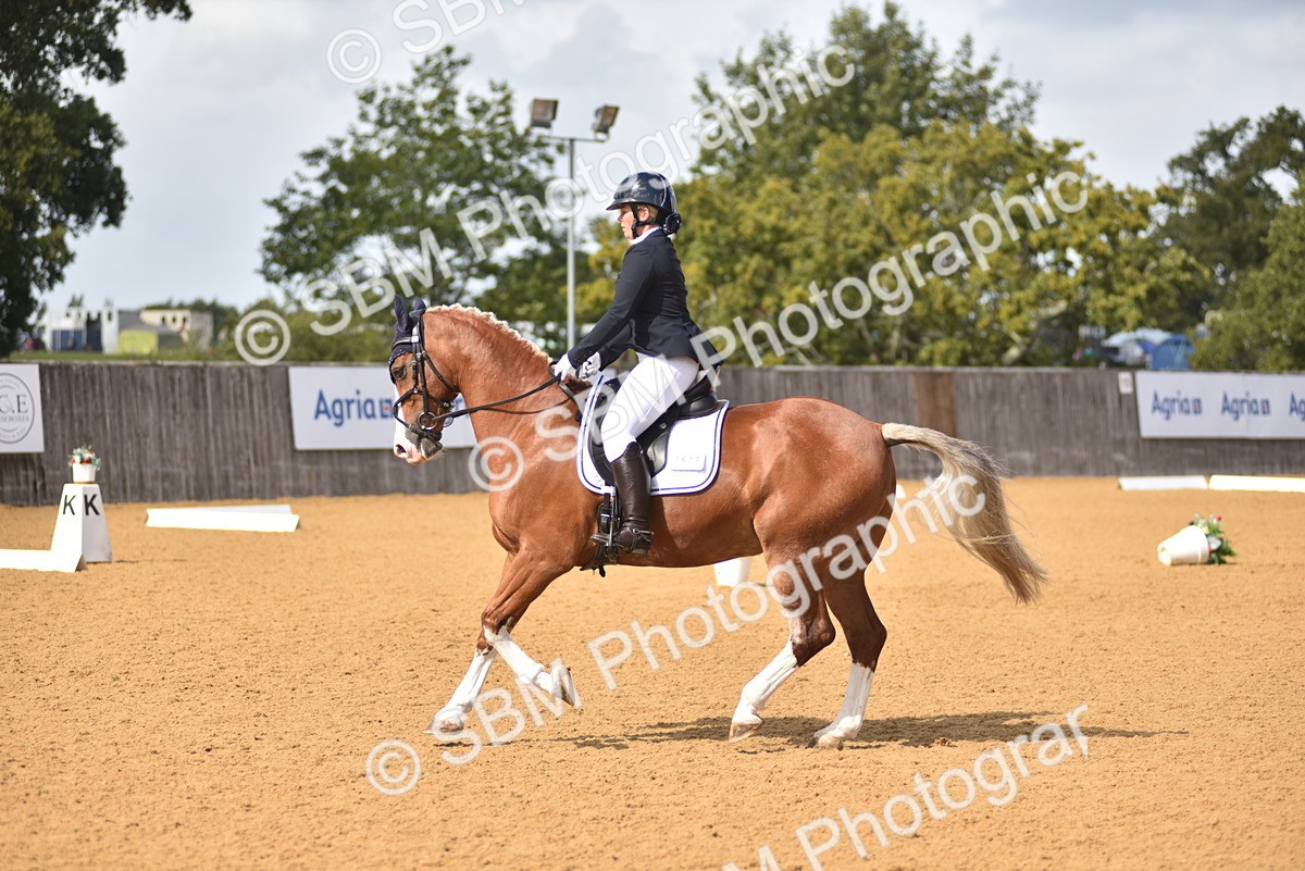 SBM_07824 - D15 - Small Tour Championship Novice 1