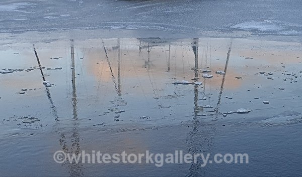  - NEW Winter Reflection