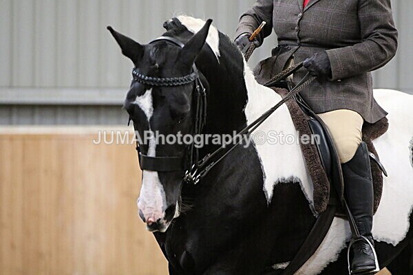 SIAL3082 - Sunday 14th Ridden