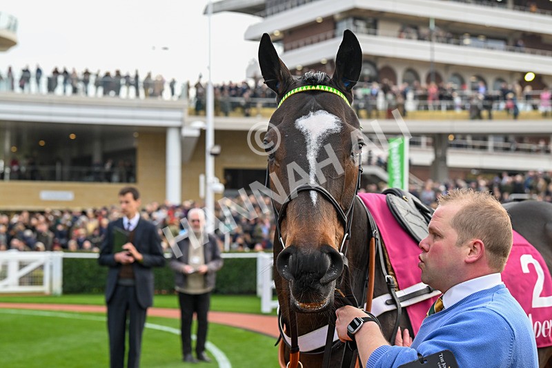 151124-Race 3-Paddock-Jonbon-7681 - Race 3