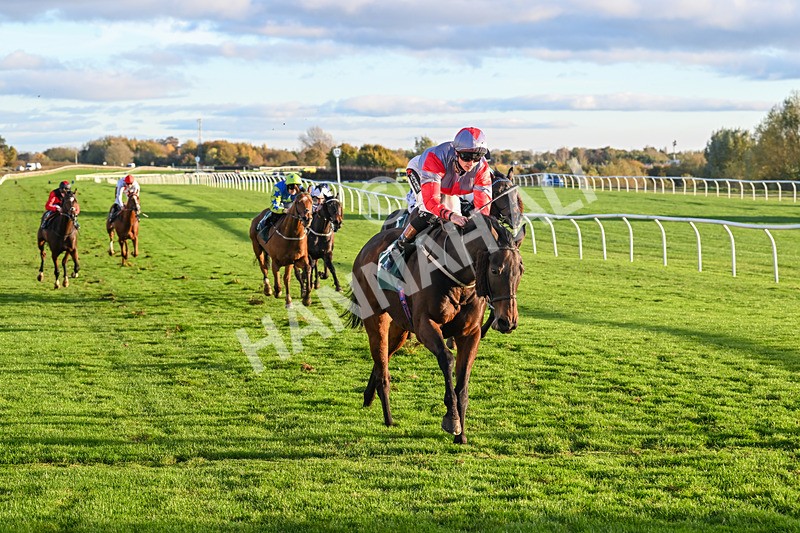 291024-Race 6-Count DOrsay-6357 - Race 6