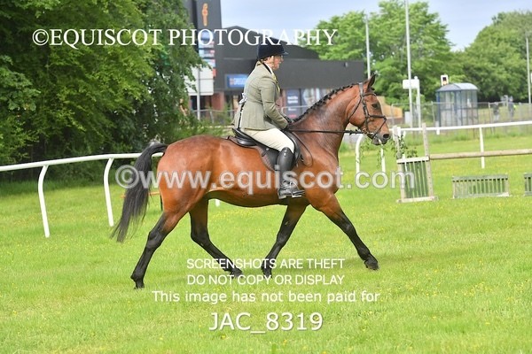 JAC_8319 - CLASS 1 BHS 1M SCONE QUALIFIER