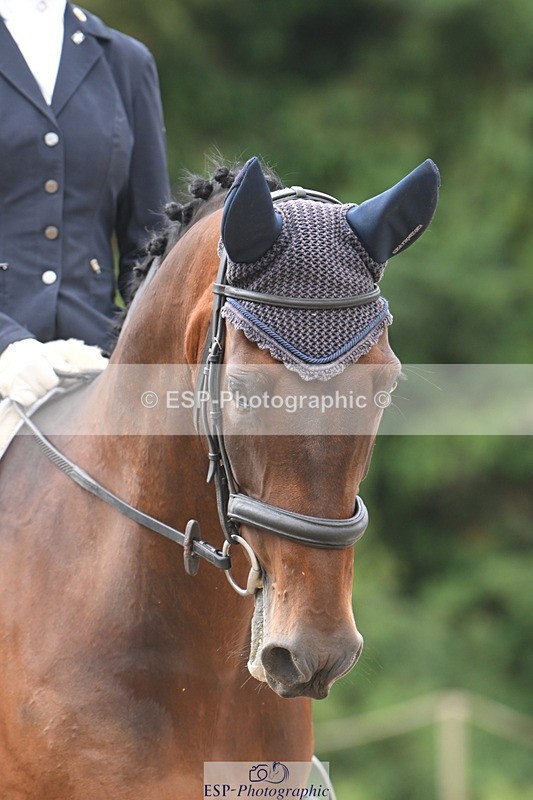 250720A-104819-09707 - 007-Gwen.Knight-Barnabus