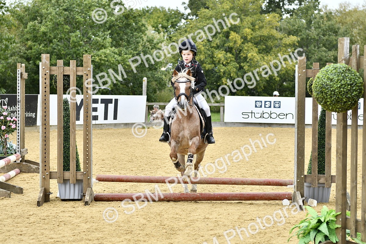 SBM_65515 - J2a mini Tour Junior Pony 30cm Championship