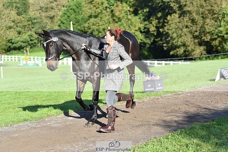 231022-101332-22318 - 468-PRIMITIVE.DAYLIGHT-Alexandra.Erskine.Scott-TrotUp+SJ