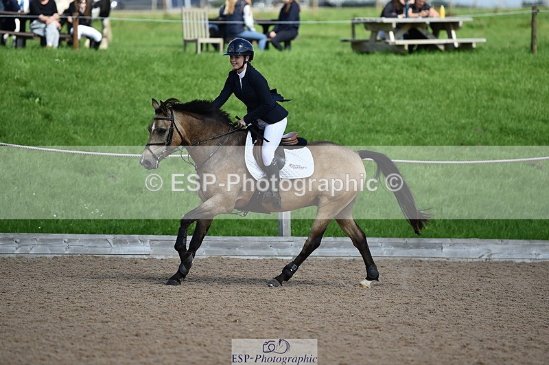 230902A-131358-01362 - Cls 3A Pony Medium 80cm