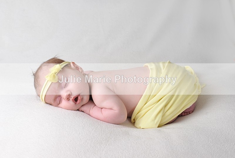 DSC_0588 - Chelsea