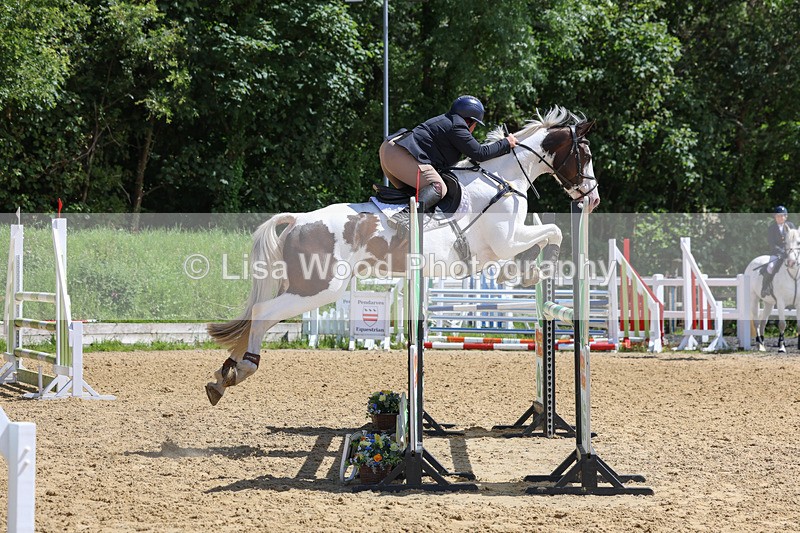 3E7A7455 - Class 8: Senior Newcomers/1.10m open