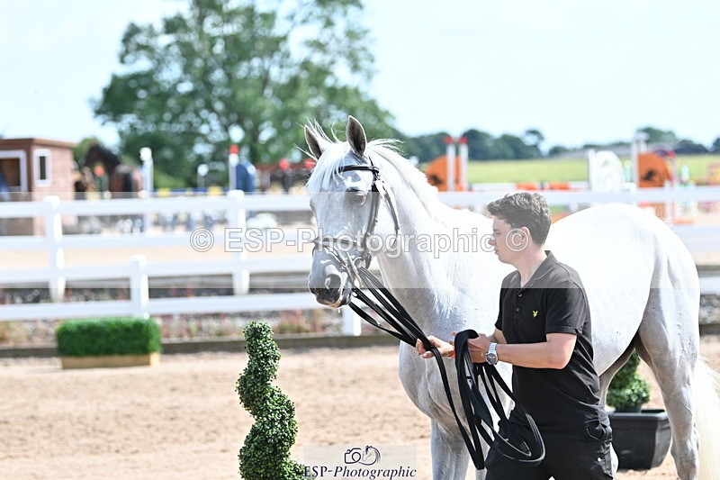 240717A-154005-02964 - Trot Up 3pm to 4pm
