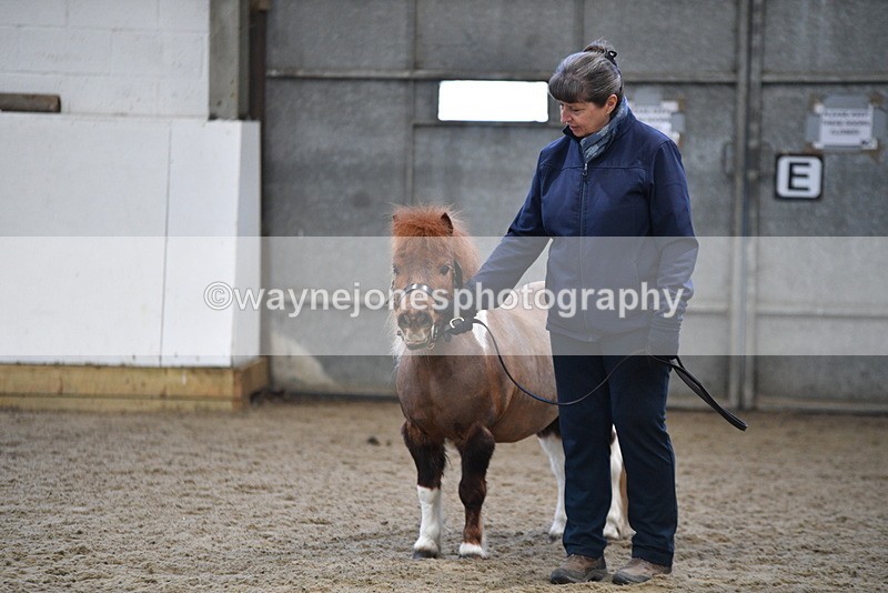 WJ5_5133 - Class 7 In hand coloured / odd coloured