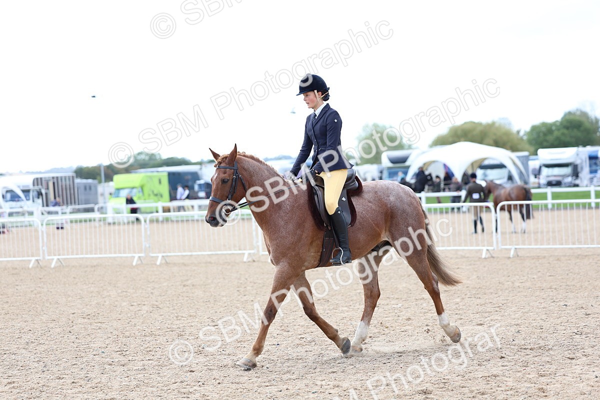 SBM_10110 - Class 304 - Ridden Part Bred Horse Pony