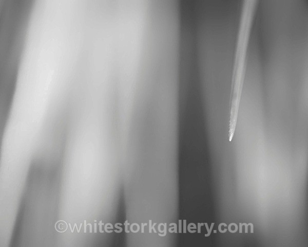  - Slow Photography