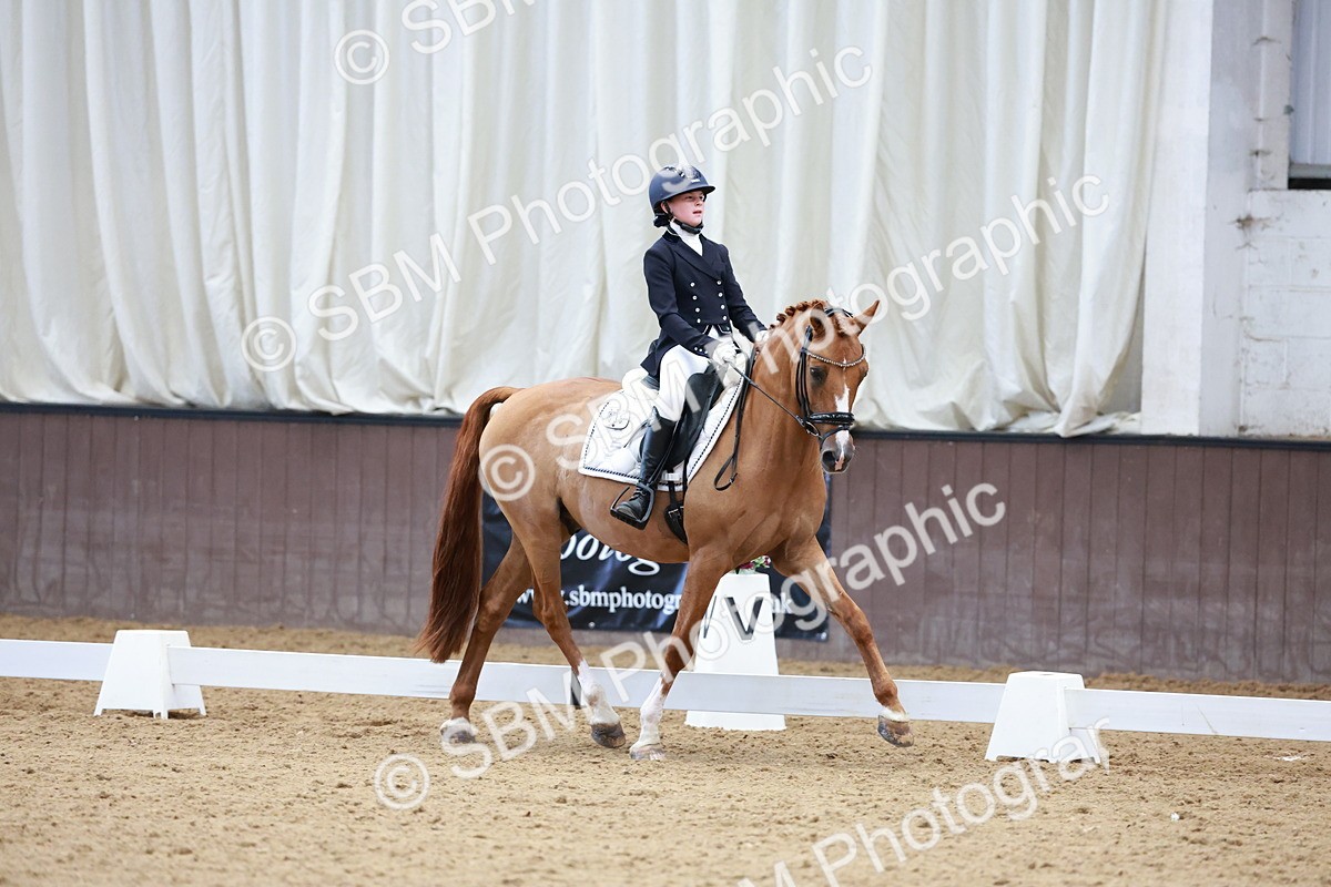 SBM_017069 - Class15 - FEI Pony