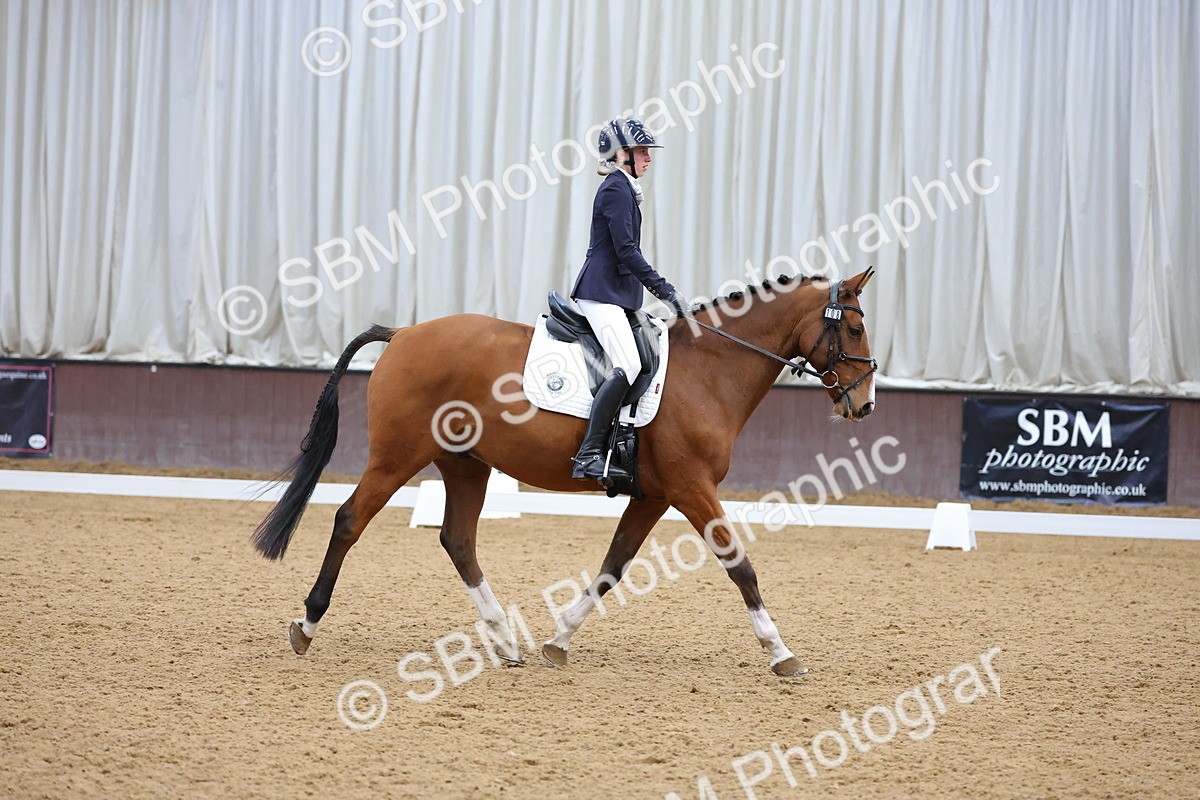 SBM_003037 - Novice