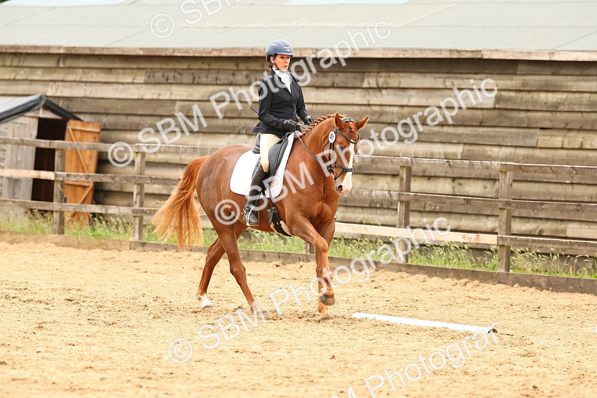 SBM_003356 - Class 7 - Novice 2