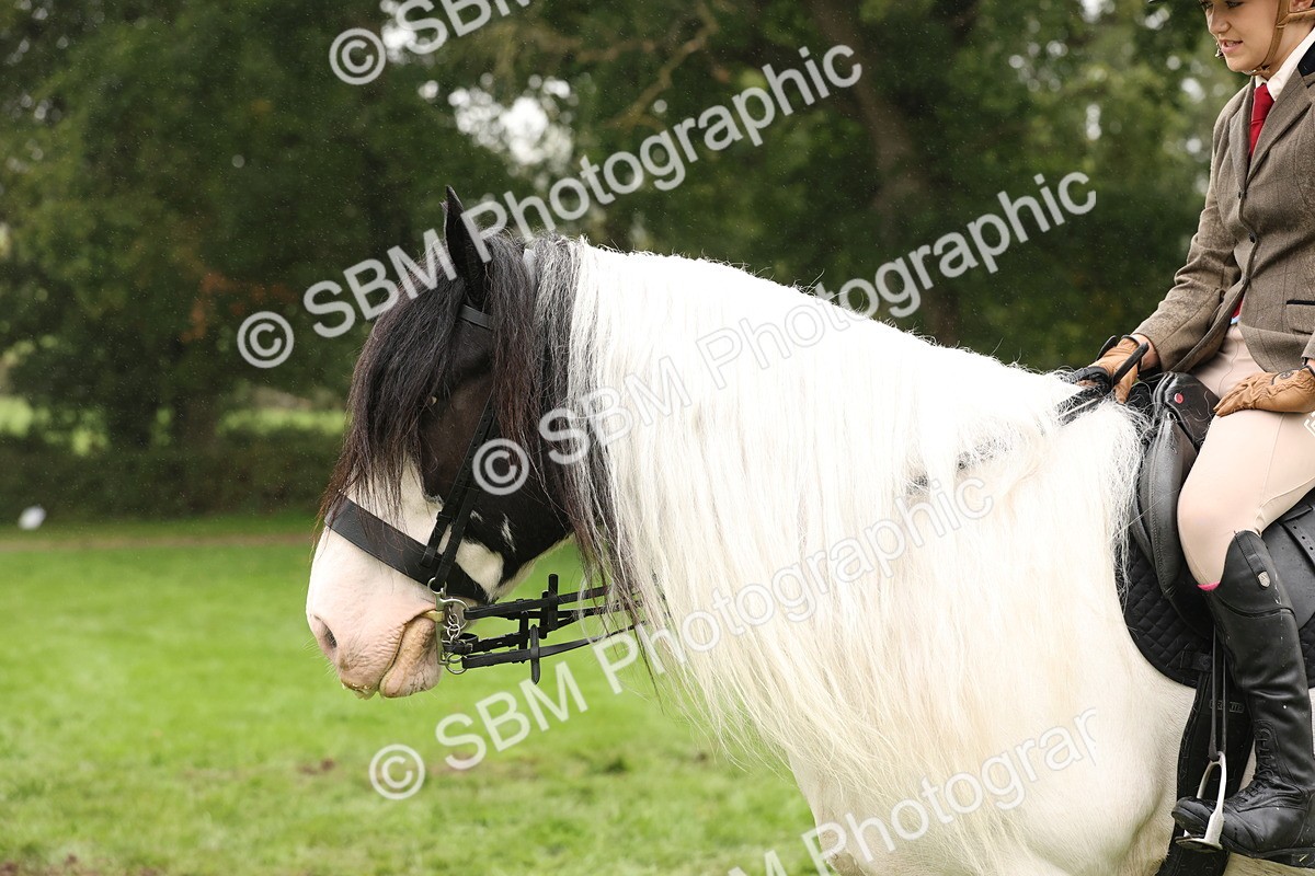 SBM_72800 - S70 - Traditional Cob Ridden