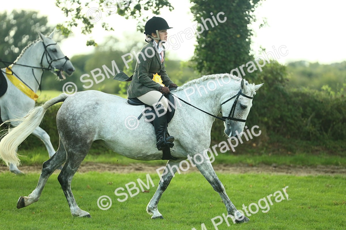 SBM_52259 - S33 - Working Hunter & Working Show Horse
